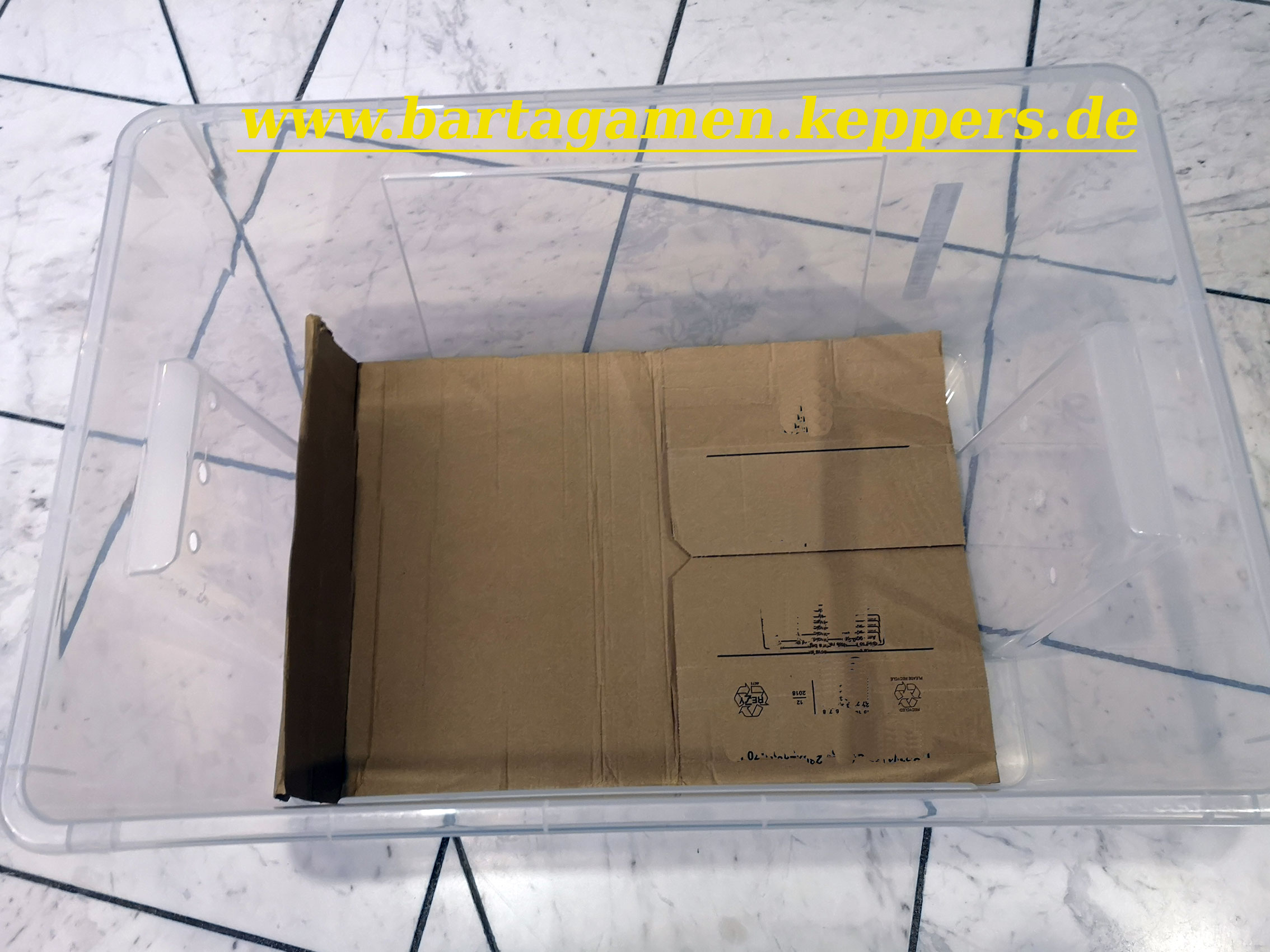 Isolierung Winterbox