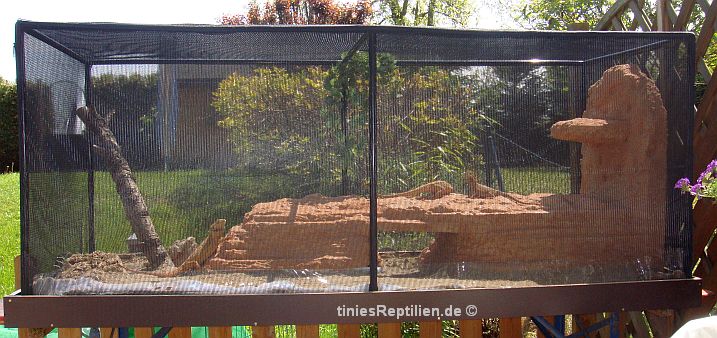 Bartagamen Au&szlig;engehege auf Tisch