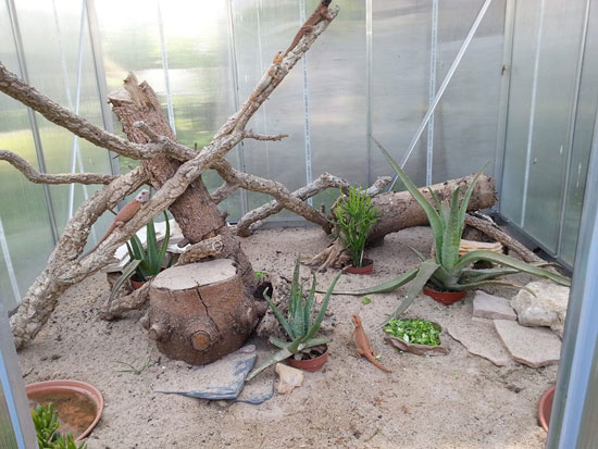 Gro&szlig;es Au&szlig;engehege