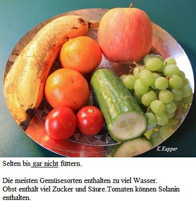 Gem&uuml;se udn Obst