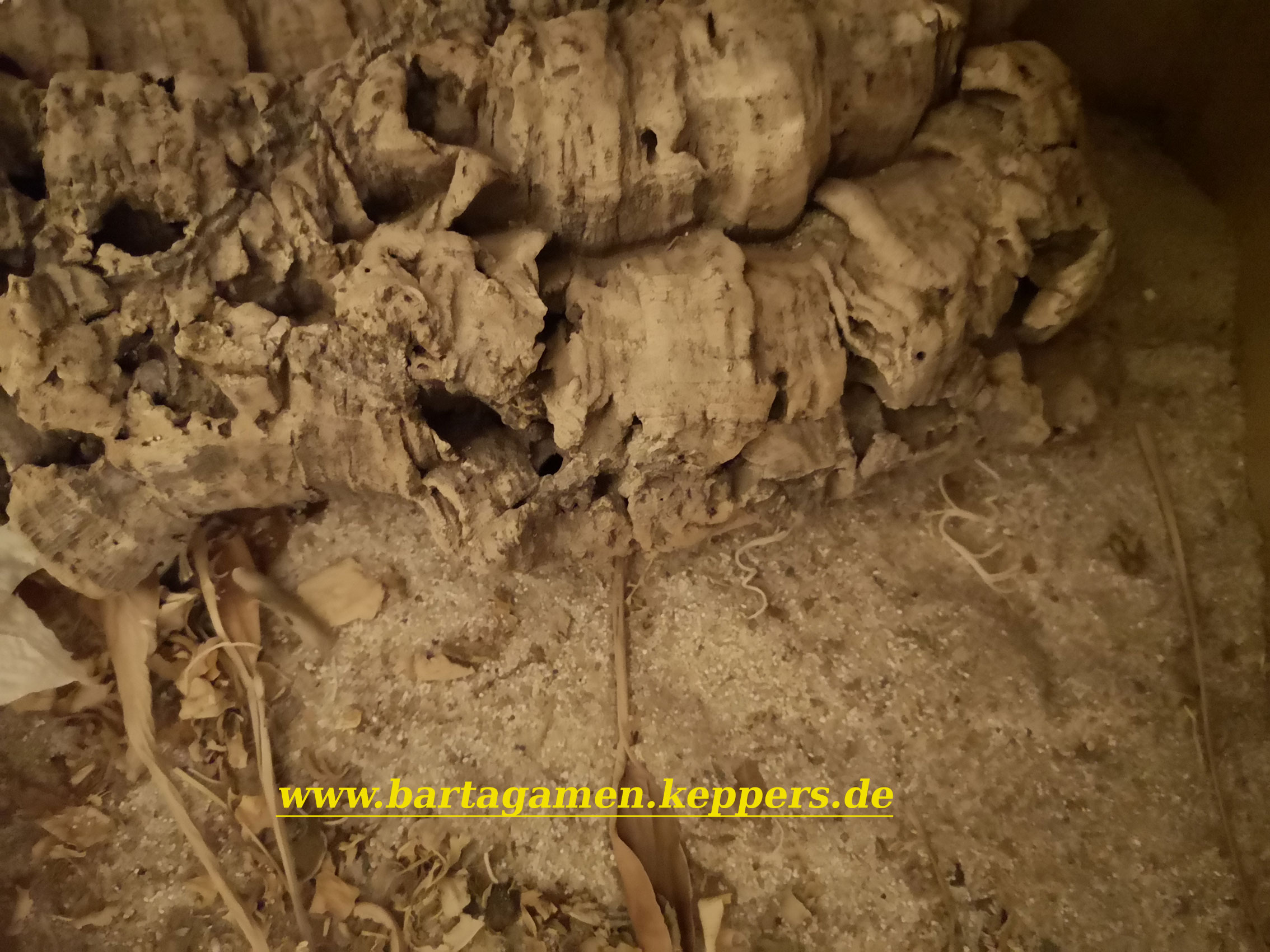 Unterschlupf nat&uuml;rlich